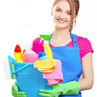 دفترخدمات خانه داری(زدون خاک و چربی/فعال باپروانه)|خدمات نظافت|رشت, دباغیان|دیوار