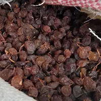 کشمش تاکستان پخش سراسری (طاهرخانی)