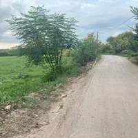۹۰۰۰متر زمین باغی/بر آسفالت/ملک ۳ بر/داخل طرح هادی|فروش زمین و ملک کلنگی|رشت, کاکتوس|دیوار