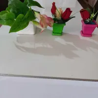 همش نود