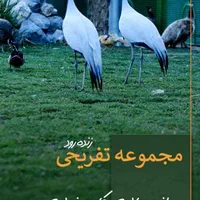** آموزش سوارکاری و نگهداری اسب در زنده رود   **|اسب و تجهیزات اسب‌سواری|اصفهان, بهارستان|دیوار