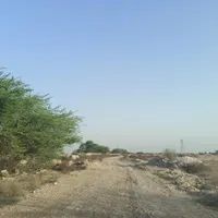 فروش زمین باغی سند دار، هفتاد میلیون|فروش دفتر صنعتی، کشاورزی، تجاری|بوشهر, |دیوار