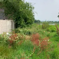 زمین فروشی رشت