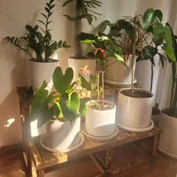 پایه گل نیمکتی،استند،پایه گلدان