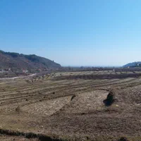 فروش زمین شالیزار ۶۰۰۰ متری|فروش زمین و ملک کلنگی|لیسار, |دیوار