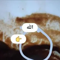 (قوی ترین وتخصصی انواع فال) ( وحتی اموزش حرفه ای)|خدمات پذیرایی، مراسم|تهران, تهرانپارس غربی|دیوار