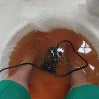 کلینیک تخصصی غلظت خون،فصد حجامت زالو طب سنتی سوزنی|خدمات آرایشگری و زیبایی|اصفهان, کشاورزی|دیوار