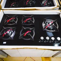 اجاق گاز صفحه‌ای پادیسانی ۱۲۰۶