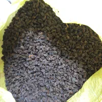 خانهکشمش وعسل شهرکرد|عمدهفروشی|شهرکرد, |دیوار