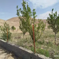 فروش باغ سنددار درنمرودمعاوضه باآپارتمان و خودرو.|فروش دفتر صنعتی، کشاورزی، تجاری|فیروزکوه, |دیوار