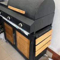 باربیکیو هیبریدی (گازی ذغالی)