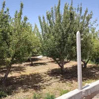 باغ آماده با برق سند آب آشامیدنی بستان اباد