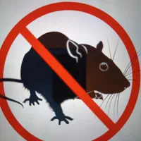 سمپاشی و طعمه گذاری تضمینی ،سوسک و موش،سم پاشی|خدمات نظافت|ارومیه, |دیوار