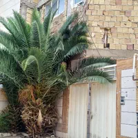 فروش خانه ویلایی ۸۸ متری دوطبقه در شهیدان غربی
