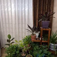 پرده پانچ ۵ تکه ، نباتی با پنل قهوه ای پارچه ترک|پرده، رانر، رومیزی|اصفهان, سپاهان‌شهر|دیوار
