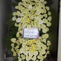 گل فروشی عمده و تک تاج گل|گل و گیاه طبیعی|تهران, توحید|دیوار
