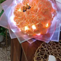 عروسک|اسباب‌‌بازی|رشت, نظری|دیوار