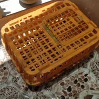 یک قفس مرغ خالی گمشده