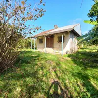 ۳۷۰۰ متر مسکونی با انشعابات قابل تفکیک/۸دقیقه دریا|فروش زمین و ملک کلنگی|لشت نشا, |دیوار