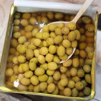 پخش زیتون ترشی جات خیارشور ترشک لواشک روغن زیتون|عمده‌فروشی|مشهد, شیرودی|دیوار
