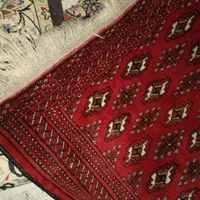 قالیشویی مدرن آسیا تضمینی|خدمات نظافت|مشهد, آزادشهر|دیوار