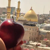 کربلا حرکت هر هفته