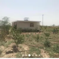 زمین کشاورزی گلخانه ای قزوین فارسیان|فروش دفتر صنعتی، کشاورزی، تجاری|قزوین, |دیوار