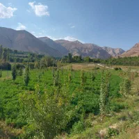 فروش باغ تنگه واشی با چشمه|فروش دفتر صنعتی، کشاورزی، تجاری|فیروزکوه, |دیوار