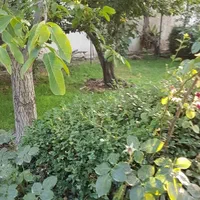 ۱۲۸۰ متر ویلاباغ محمدشهر تهاتر با اپارتمان واحد