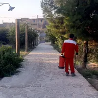 شرکت سمپاشی موریانه،سم پاشی ساس سوسک باضمانت شرکت