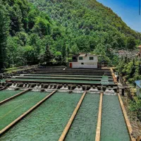 فروش پرورش ماهی به همراه ویلا و رستوران و مغازه