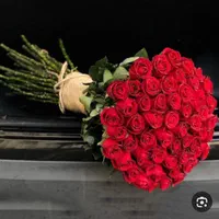 تاج گل.بله برون جام گل.|گل و گیاه طبیعی|تهران, افسریه شمالی|دیوار