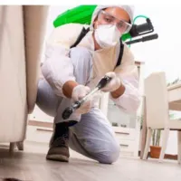 سمپاشی سوسک ساس حشرات تضمینی سمپاشی درختان میوه