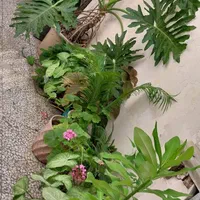 ویلا سوییت دربست اجاره روزانه در رشت|اجارهٔ کوتاه‌مدت ویلا و باغ|رشت, کوی طالقانی|دیوار