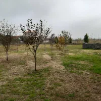 زمین با اسکلت|فروش زمین و ملک کلنگی|رشت, کاکتوس|دیوار