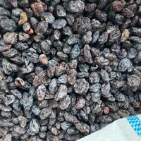 کشمش آفتابی|خوردنی و آشامیدنی|اسلام‌شهر, |دیوار
