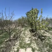 ۱۳۰۰متر زمین (سند۶دانگ) سهیلیه. زعفرانیه. کردان