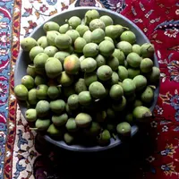 فرصت عالی سرمایه‌گذاری در طبیعت بکر گلستان|فروش زمین و ملک کلنگی|گنبد کاووس, |دیوار