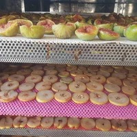 دستگاه خشک کن سبزی گوشت میوه گازسوز|ماشین‌آلات صنعتی|قم, آذر (نکویی)|دیوار