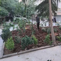باغبانی سمپاشی هرسکاری کودسم پاشی سوسک سراسرتهران|خدمات باغبانی و درختکاری|تهران, تجریش|دیوار