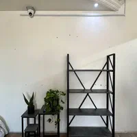 طراحی ساخت رگال قفسه ویترین عمده تکی|فروشگاه و مغازه|تبریز, |دیوار