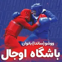 ووشو بانوان