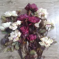 گل گوشه سالنی