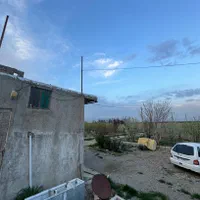 زمین هکتاری کرج کشاورزی گلخانه پنج هکتار|فروش دفتر صنعتی، کشاورزی، تجاری|چهارباغ, |دیوار