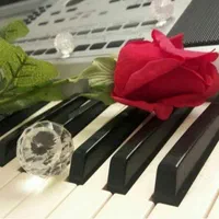 گروه موزیک مجالس dj|خدمات پذیرایی، مراسم|تهران, نیروی هوایی (پیروزی)|دیوار
