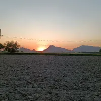 سرمایه گذار برای کارخانه تولید برق خورشیدی