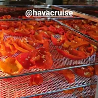 دستگاه خشک کن میوه صنعتی ریلی و خانگی|ماشین‌آلات صنعتی|تهران, آرژانتین|دیوار