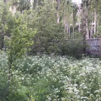 باغ ویلا کوشکک گچسر|فروش خانه و ویلا|آسارا, |دیوار