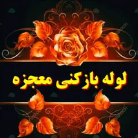 لوله بازکنی سراسرشهر(بافنرجداگانه)باضمانت|خدمات پیشه و مهارت|نیشابور, محله میدان باغات|دیوار