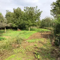زمین استثنایی برای ساخت ویلا